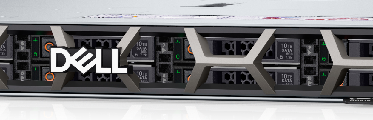 Dell PowerEdge R6615 8 or 10x2.5" SAS/SATA/NVMe